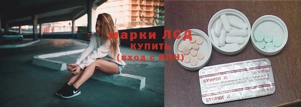 прущие грибы Володарск