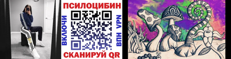 закладки  Славянск-на-Кубани  Псилоцибиновые грибы Magic Shrooms 