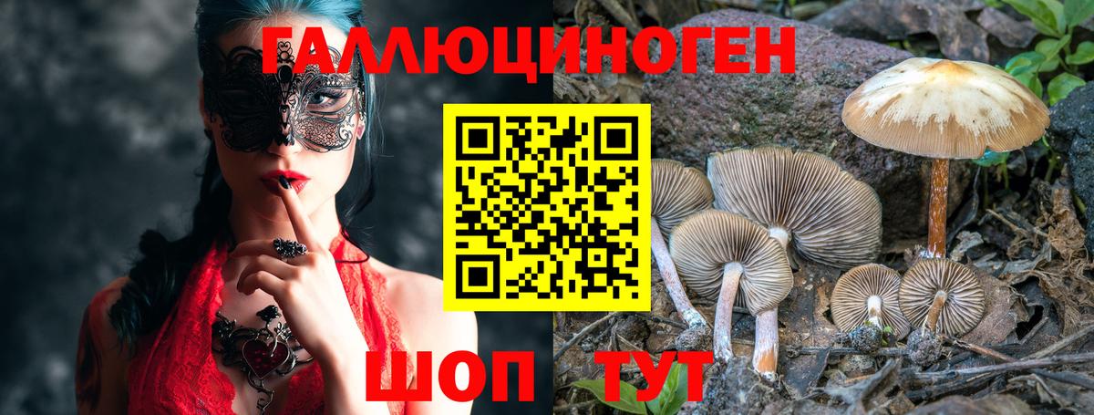 Псилоцибиновые грибы Cubensis  купить наркотики сайты  Славянск-на-Кубани  Вход с VPN  Галлюциногенные грибы прущие грибы 