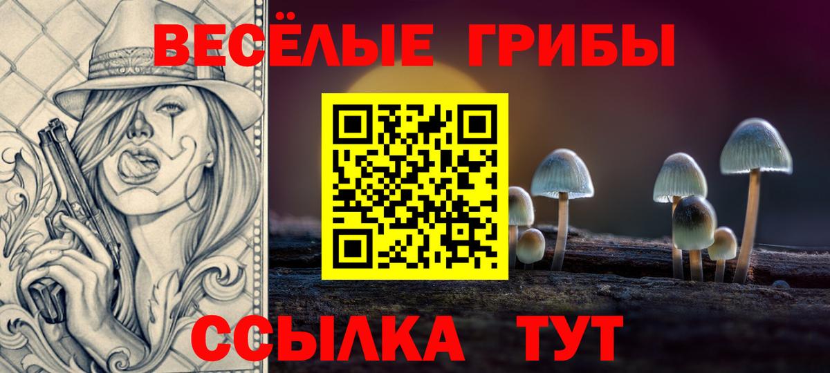 Галлюциногенные грибы GOLDEN TEACHER Славянск-на-Кубани